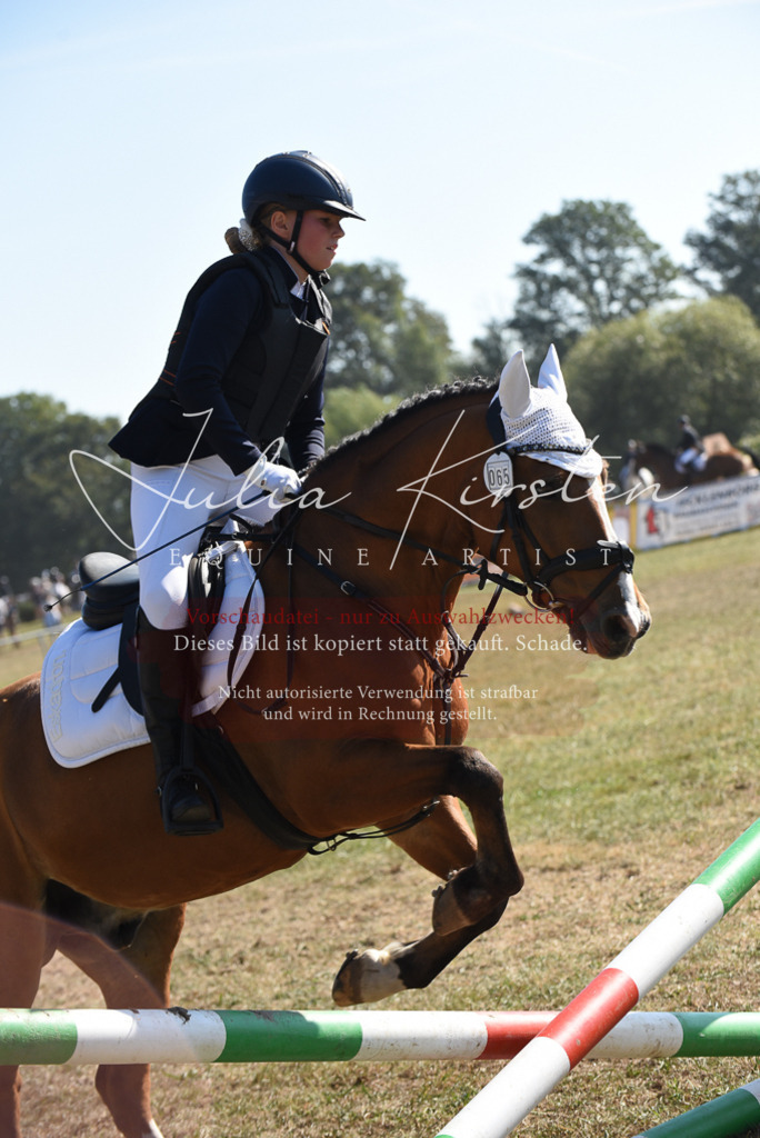 DSC_6024 | Pferde- und Turnierfotografie in Westsachsen. Pferdeportraits, Auftragszeichnungen und intuitive Kunst.