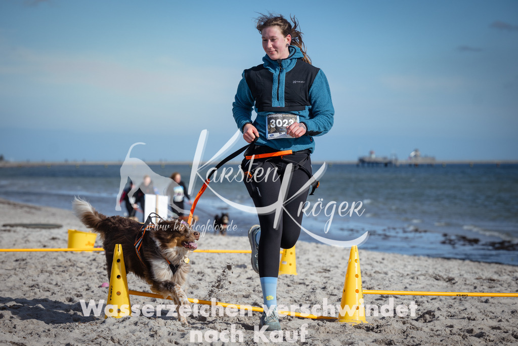 1329_ZZ91646 | kk-dogfotos