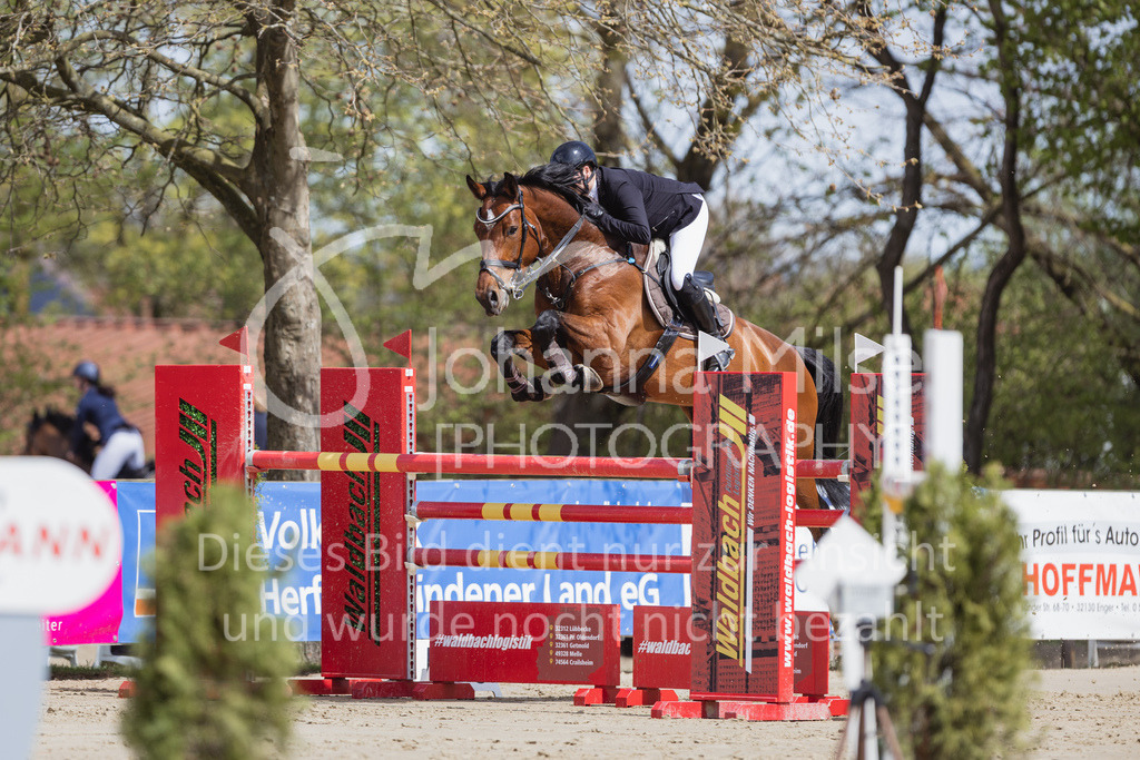 230501_SpengeW_M2St-149 | Deine schönsten Turniermomente als professionelle Fotos! Entdecke hochwertige Pferdesport-Fotografie im Online-Shop. Jetzt Fotos finden & bestellen!