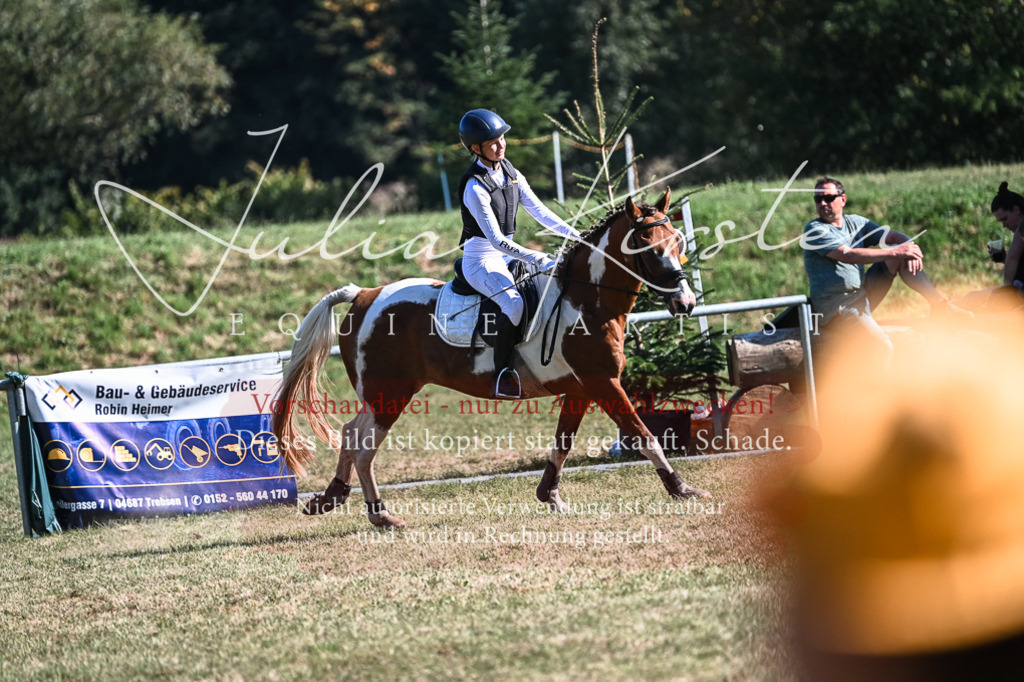 DSC_7031 | Pferde- und Turnierfotografie in Westsachsen. Pferdeportraits, Auftragszeichnungen und intuitive Kunst.