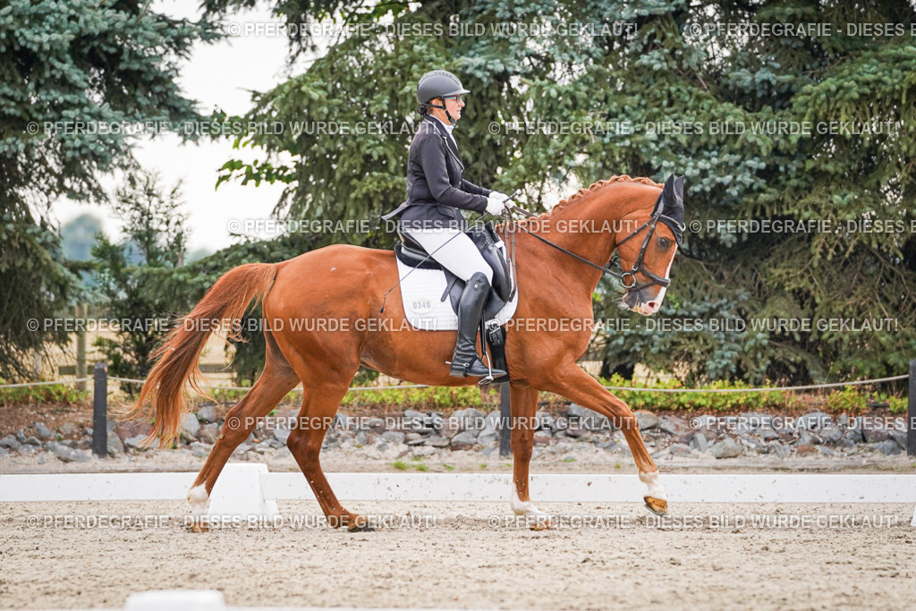 DSC00251 | Pferdegrafie