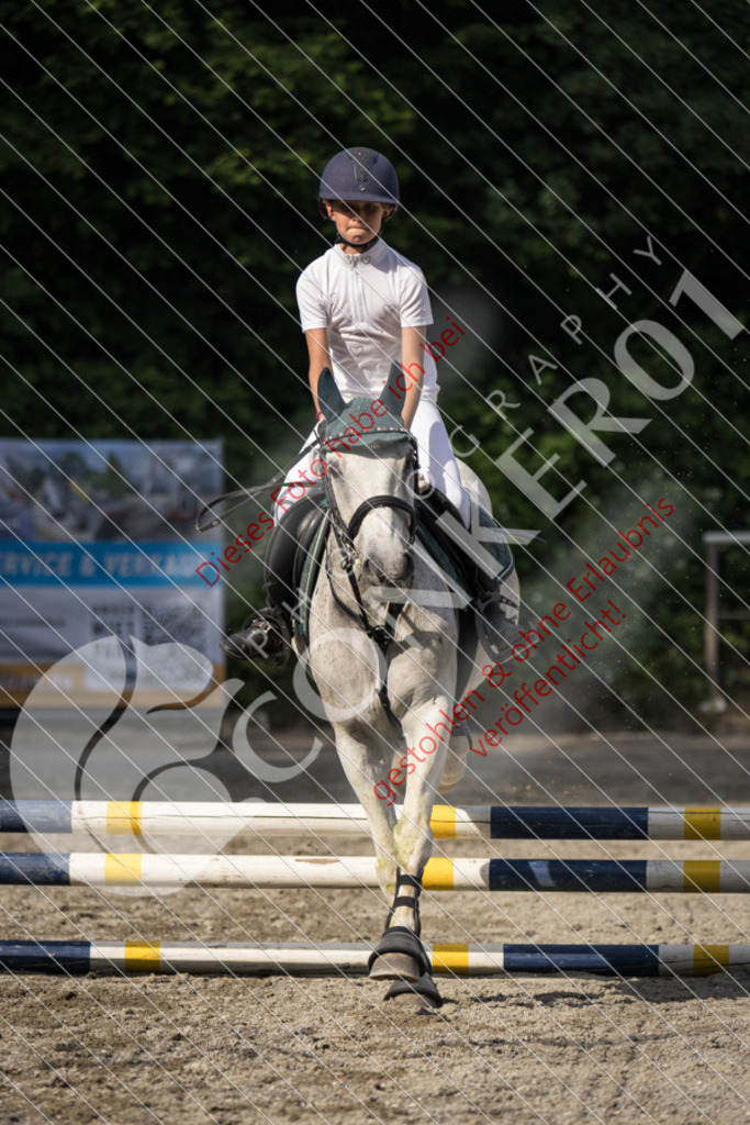 IMG_6001 | Sport-, Event- und Tierfotos in Profiqualität. Einfach auswählen, bestellen und herunterladen. Dein Moment – perfekt festgehalten.