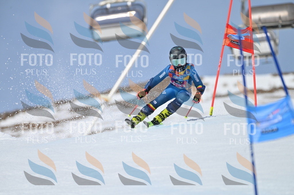 BGV_4224 | holidayphoto