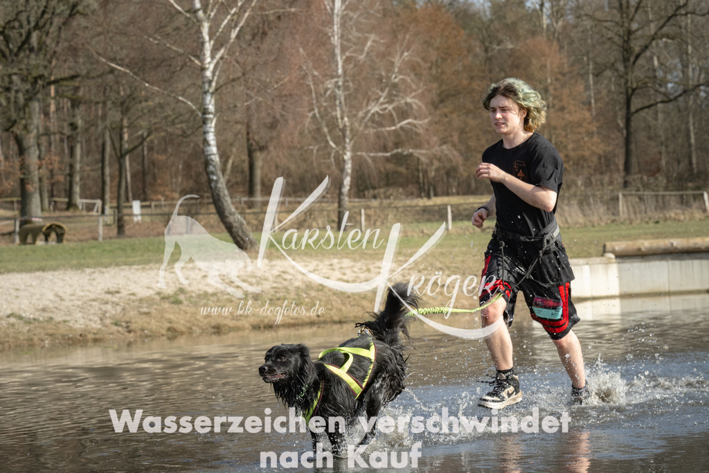 1352_ZZ98453 | kk-dogfotos