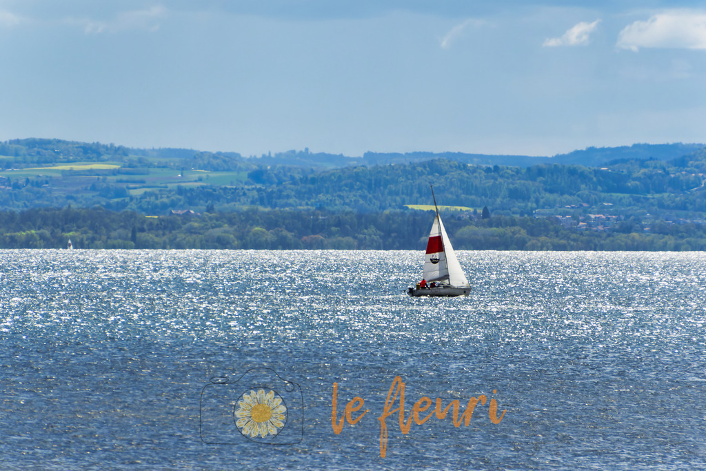 DSC_0079-NEF_DxO_DeepPRIME (1) | Dies ist der Shop von Florian Blum - le fleuri. Langenthal, Bern, SchweizSie können hier meine oder ihre eigenen Fotos als Fotoprodukte kaufen. Tassen, Schlüsselanhänger, Taschen etc. können Sie hier gestalten.  - Realisiert mit Pictrs.com