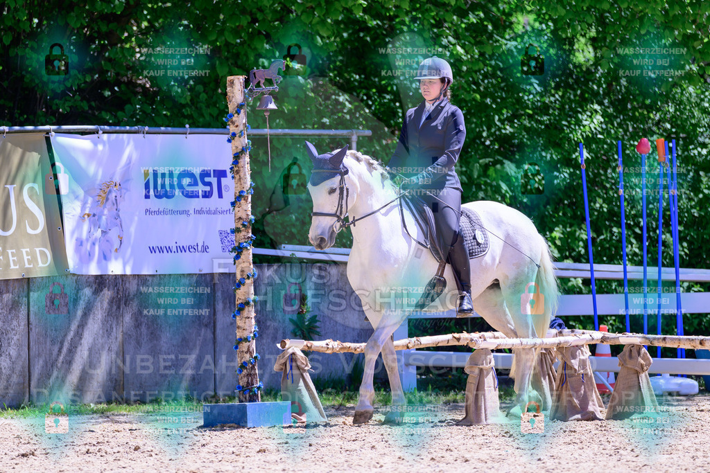 01052026-Giesenbach-02-Stiltrail-0128 | Fokus Hufschlag Fotografie - Realisiert mit Pictrs.com