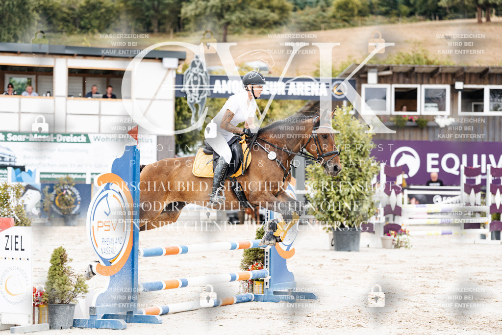 CK908202 | Turnierfotografie Pferdefotografie Trier Rheinland-Pfalz Pferdesport Reitsport Tierfotografie Sportfotografie Pferdevideo Pferdevideografie Equestrianvideography equestrianphotography  - Realisiert mit Pictrs.com