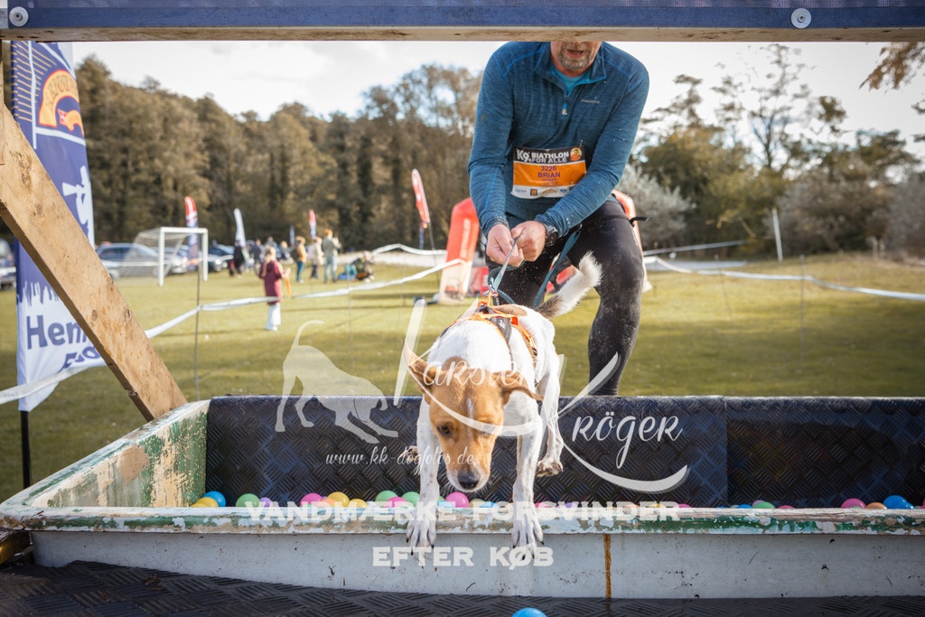 1317_ZZ90069-2 | kk-dogfotos