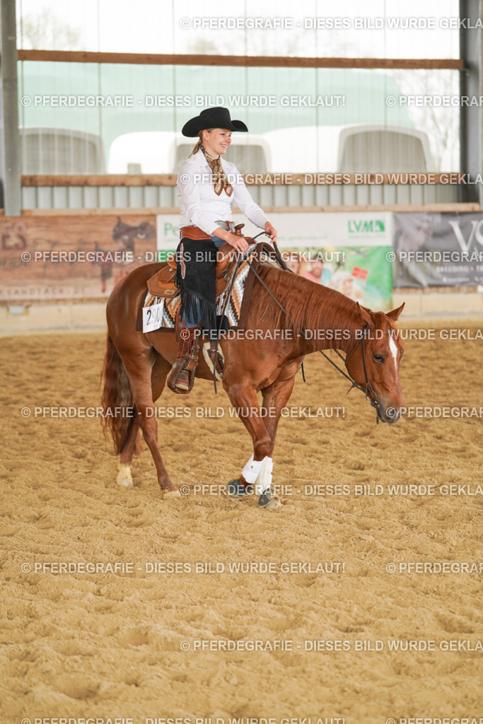 DSC06467 | Pferdegrafie