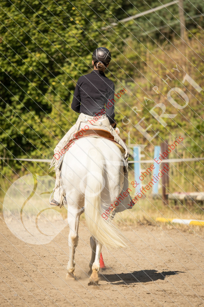 IMG_7678 | Sport-, Event- und Tierfotos in Profiqualität. Einfach auswählen, bestellen und herunterladen. Dein Moment – perfekt festgehalten.