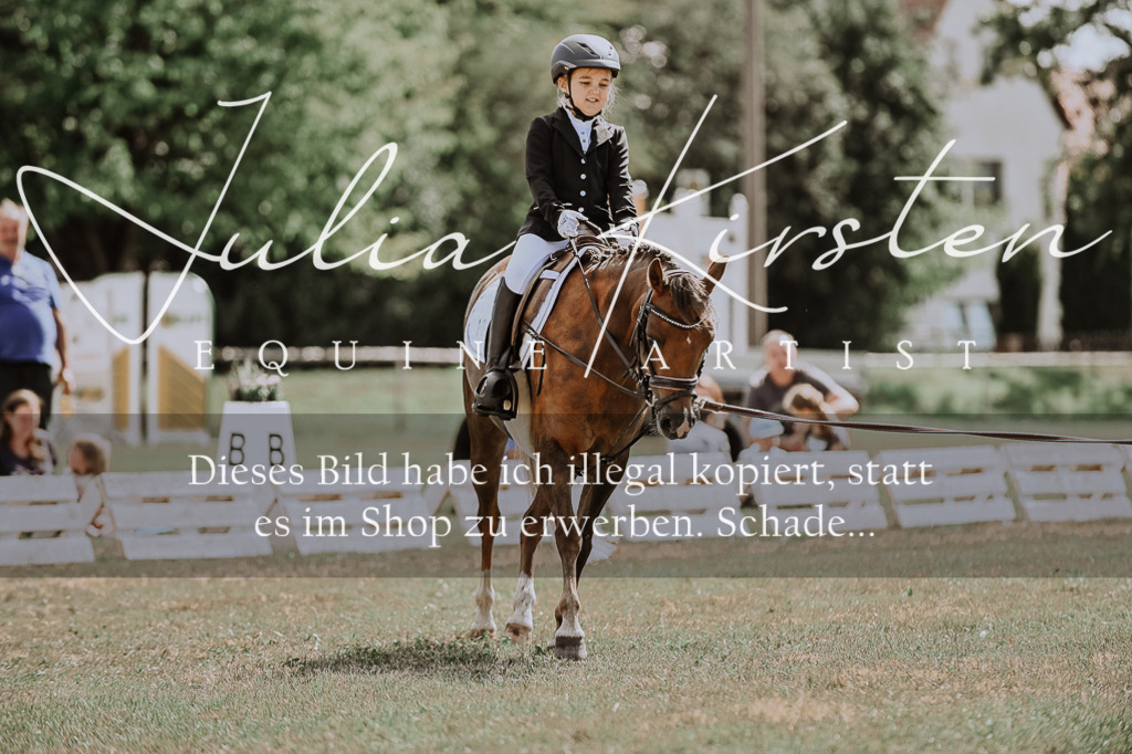 DSC_7607 | Pferde- und Turnierfotografie in Westsachsen. Pferdeportraits, Auftragszeichnungen und intuitive Kunst.