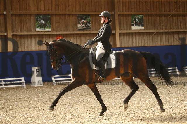 Turnier_Zeutern_2022_Prfg.Nr.04_Madlin Zott_Quadrofina P (11) | Alle Fotos der Reiterjournal Fotografin Doris Matthaes im Reiterjournal Online-Fotoshop. - Realisiert mit Pictrs.com