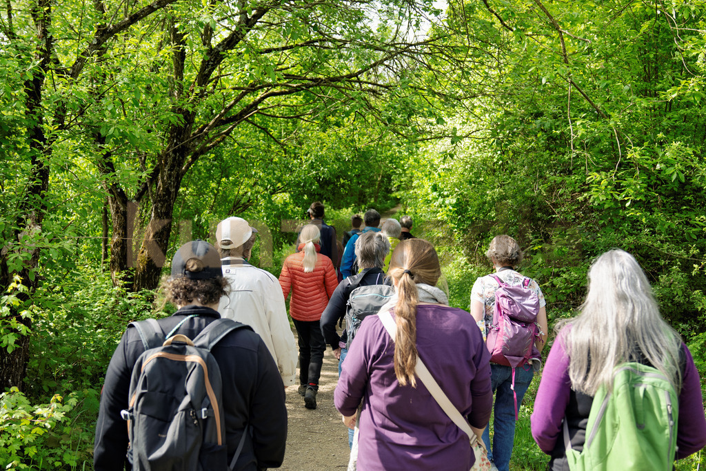 38_MITWELTEN im Naturschutzgebiet_kunzmedia.ch | OnlineShop für Bilder kunzmedia.ch