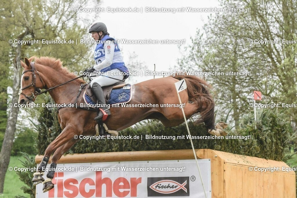 20230513_CCI4_Gelände_0532 | equistock