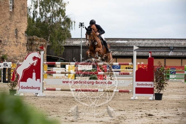 2B4A2501 | pixelfaenger - Realisiert mit Pictrs.com