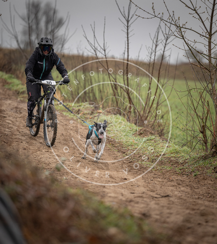 DV3A9092 | Hundefotografie, Tierfotograf, Pfotenfotografie, Fotoshooting Hund, Hunde Portrait, Hundesport, Hundeportraits, Heideshooting, Hunde, Sportfotograf, Hundefotograf, Turnierhundsport, THS,  - Realisiert mit Pictrs.com