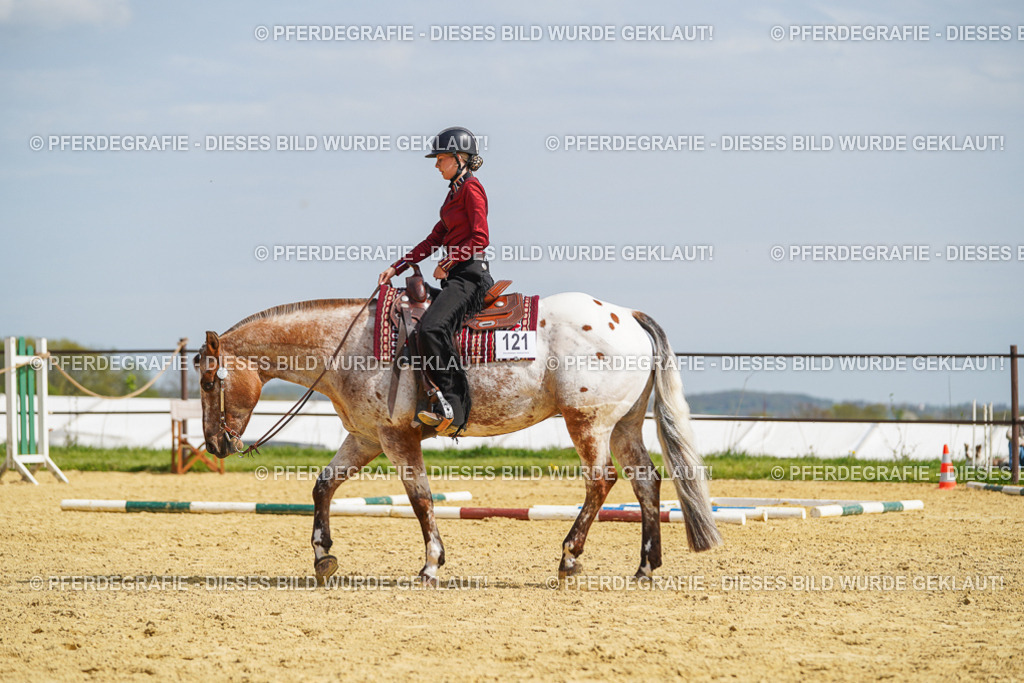 DSC04434 | Pferdegrafie