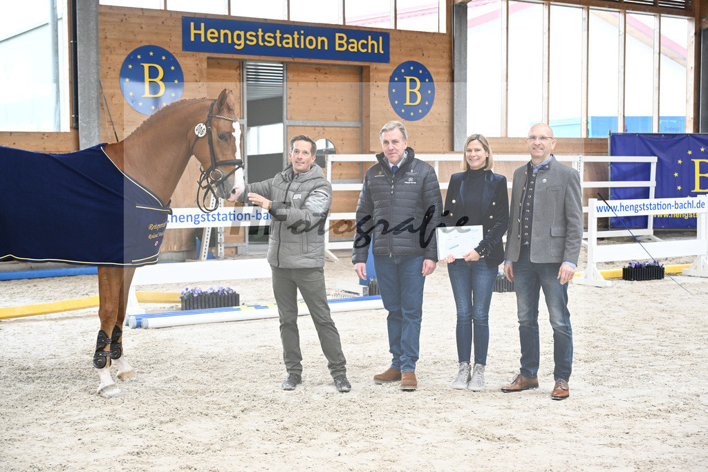 Kat-Nr. 6 Amir VT Z v. Aganix Du Seigneur_Neukirch_7242018 | hf-fotografie - Realisiert mit Pictrs.com