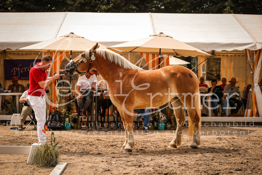 3.Sa00045 | Leoni Ertmer Photography - Realisiert mit Pictrs.com