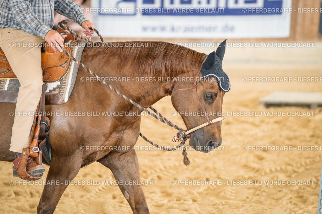 DSC07075 | Pferdegrafie