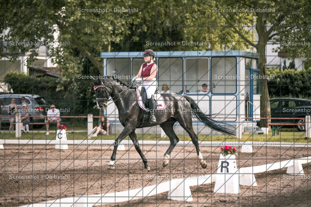 _W6A4600 | ronjaprokoschfotografie - Realisiert mit Pictrs.com