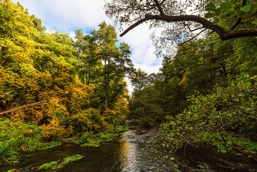 Landschaft im Herbst im Warnowdurchbruchstal bei Groß Görnow | Landschaft im Herbst im Warnowdurchbruchstal bei Groß Görnow.