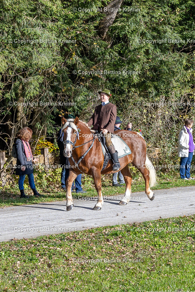 LBT24-733 | foto-bettina-krinner - Realisiert mit Pictrs.com