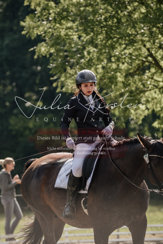 DSC_8696 | Pferde- und Turnierfotografie in Westsachsen. Pferdeportraits, Auftragszeichnungen und intuitive Kunst.