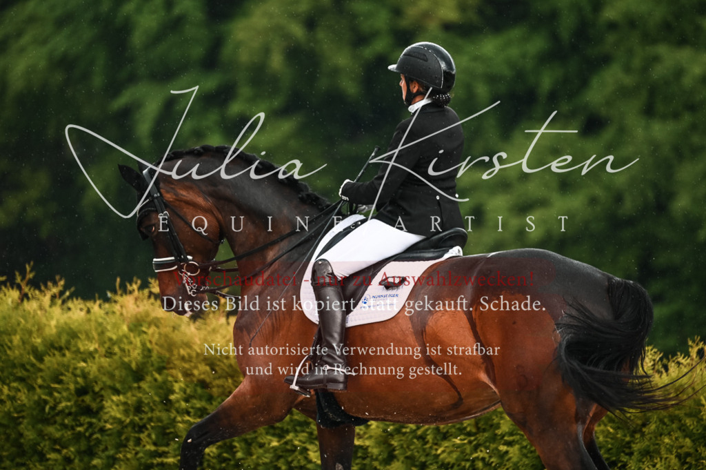 DSC_4189 | Pferde- und Turnierfotografie in Westsachsen. Pferdeportraits, Auftragszeichnungen und intuitive Kunst.