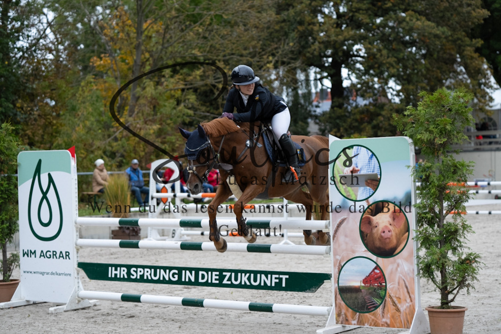 A7V08628 | Turnier/Reitfotograf
