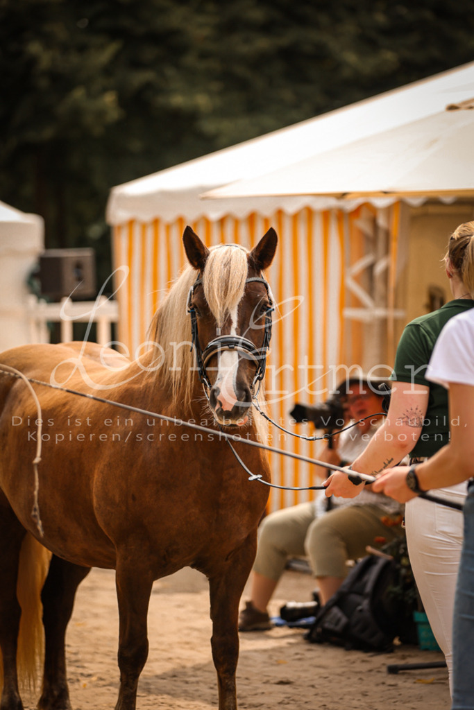 5.Sa00048 | Leoni Ertmer Photography - Realisiert mit Pictrs.com