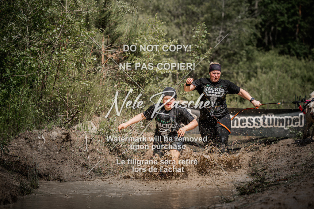 nelerasche_Hoope2026_Sa1200-1230_226 | nelerasche
