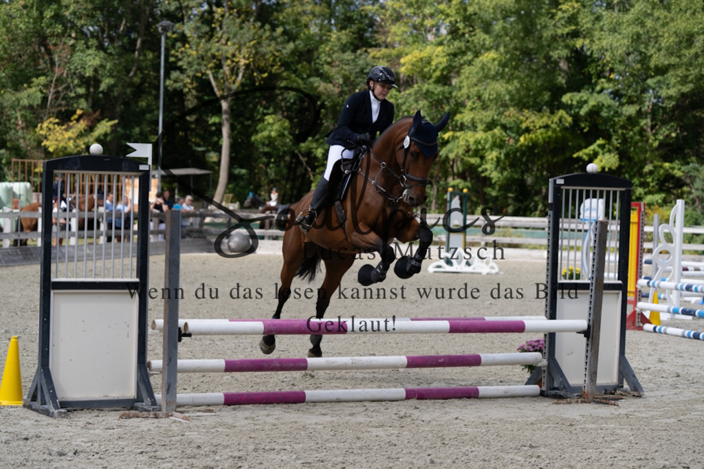 A7V07368 | Turnier/Reitfotograf