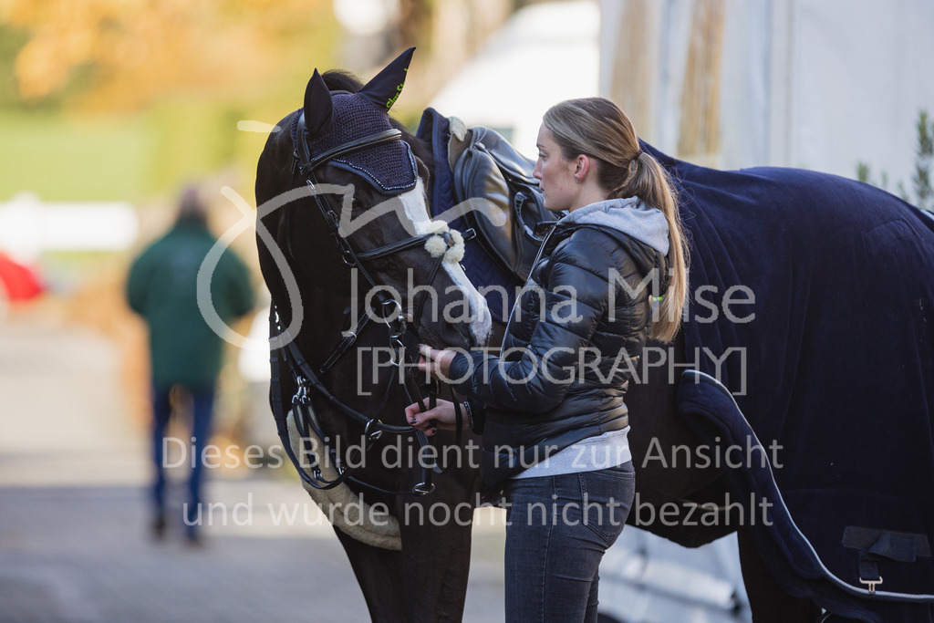 221021_Warstein_M2St_Impressionen-404 | Deine schönsten Turniermomente als professionelle Fotos! Entdecke hochwertige Pferdesport-Fotografie im Online-Shop. Jetzt Fotos finden & bestellen!