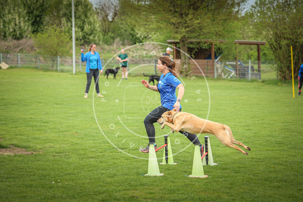Pfotenfotografie_0L8A9573 | Hundefotografie, Tierfotograf, Pfotenfotografie, Fotoshooting Hund, Hunde Portrait, Hundesport, Hundeportraits, Heideshooting, Hunde, Sportfotograf, Hundefotograf, Turnierhundsport, THS,  - Realisiert mit Pictrs.com