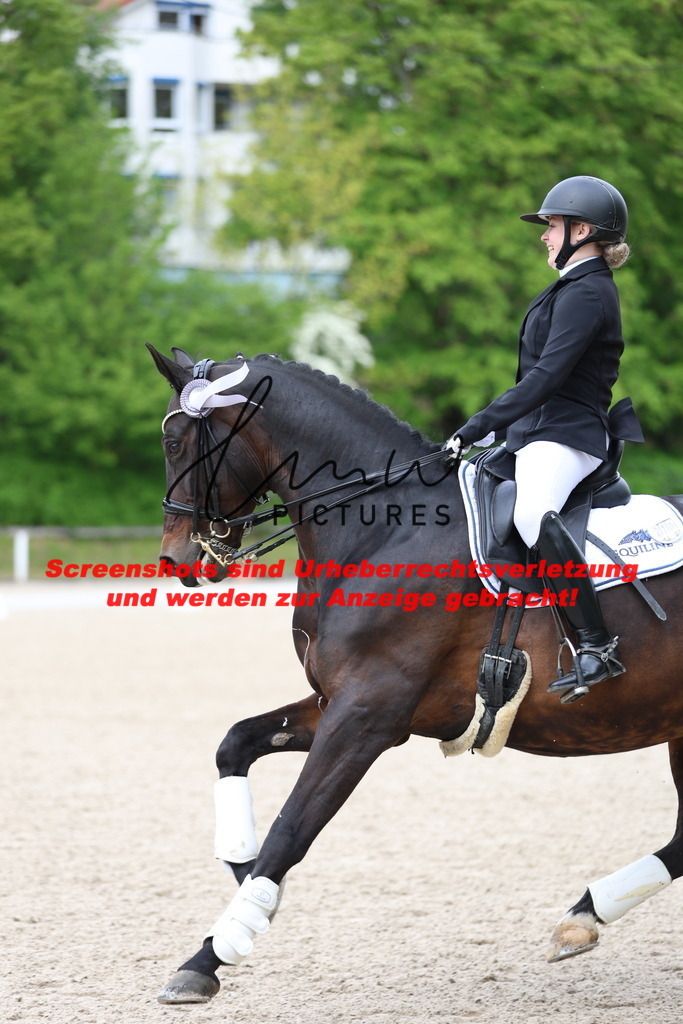 A40A4454 | lmwpictures - Realisiert mit Pictrs.com