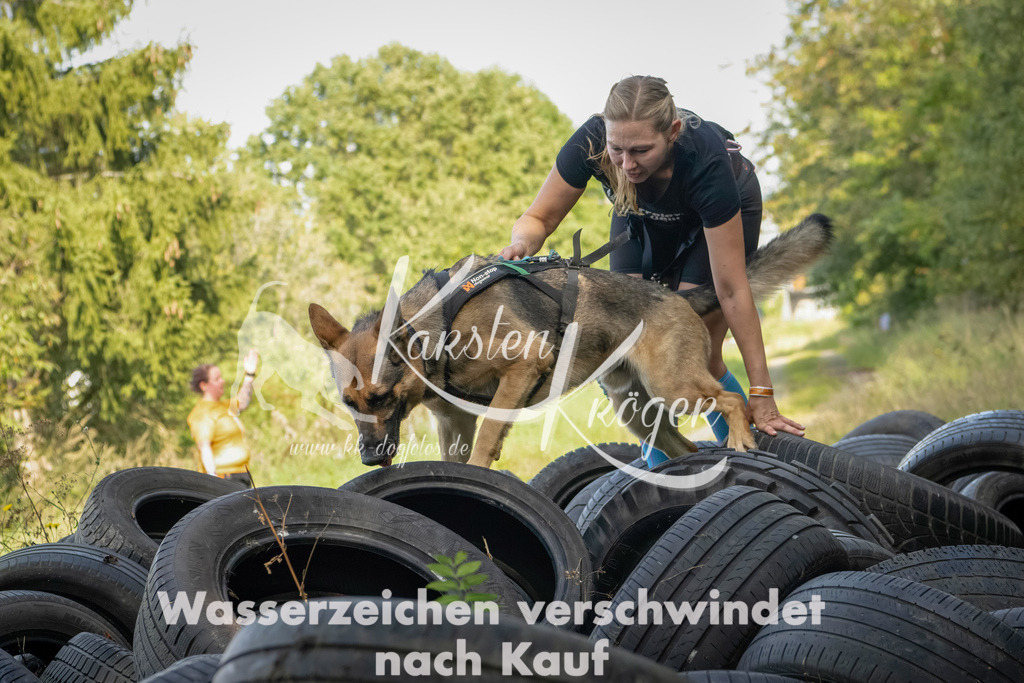 1541_ZZ92194-Bearbeitet | kk-dogfotos