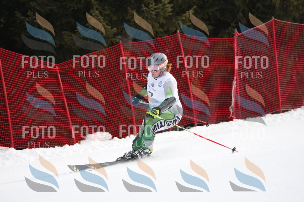 D4654 | holidayphoto