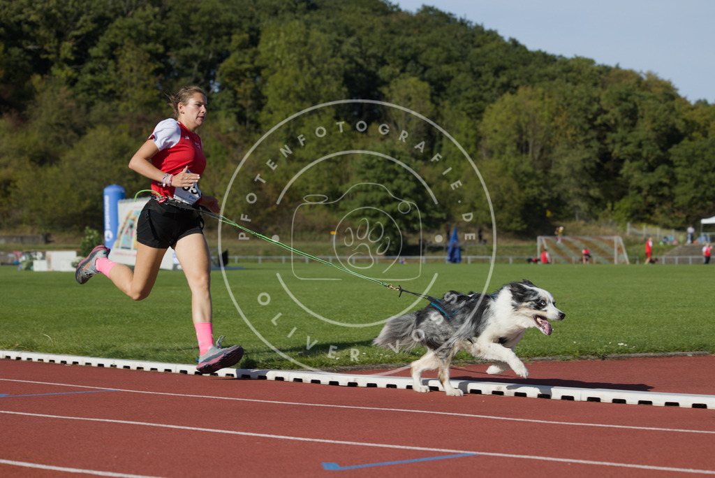 0L8A9693 | Hundefotografie, Tierfotograf, Pfotenfotografie, Fotoshooting Hund, Hunde Portrait, Hundesport, Hundeportraits, Heideshooting, Hunde, Sportfotograf, Hundefotograf, Turnierhundsport, THS,  - Realisiert mit Pictrs.com