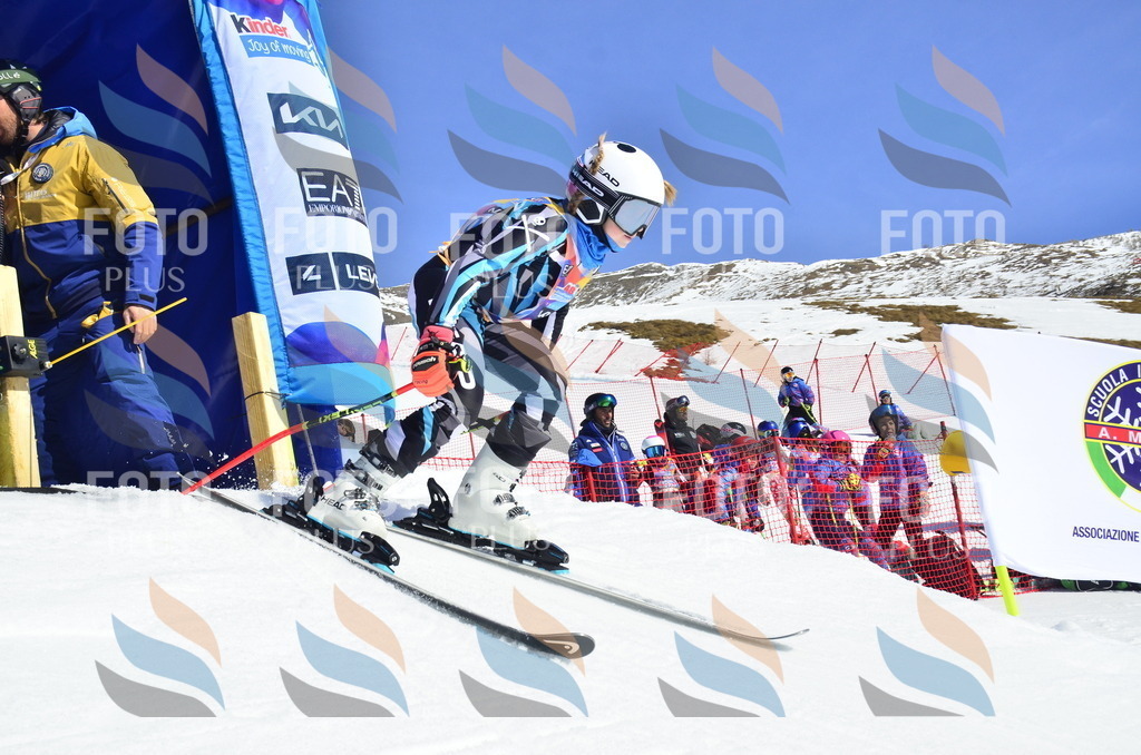 _ELE0057 | holidayphoto