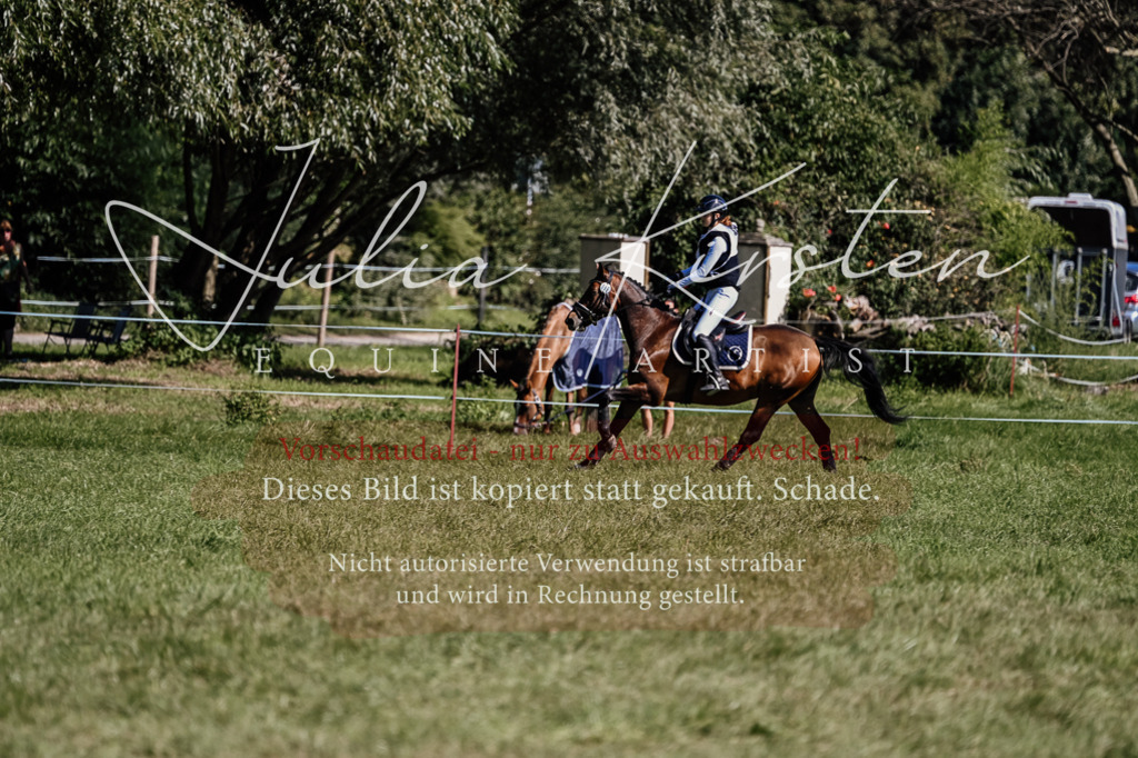 DSC_1288 | Pferde- und Turnierfotografie in Westsachsen. Pferdeportraits, Auftragszeichnungen und intuitive Kunst.