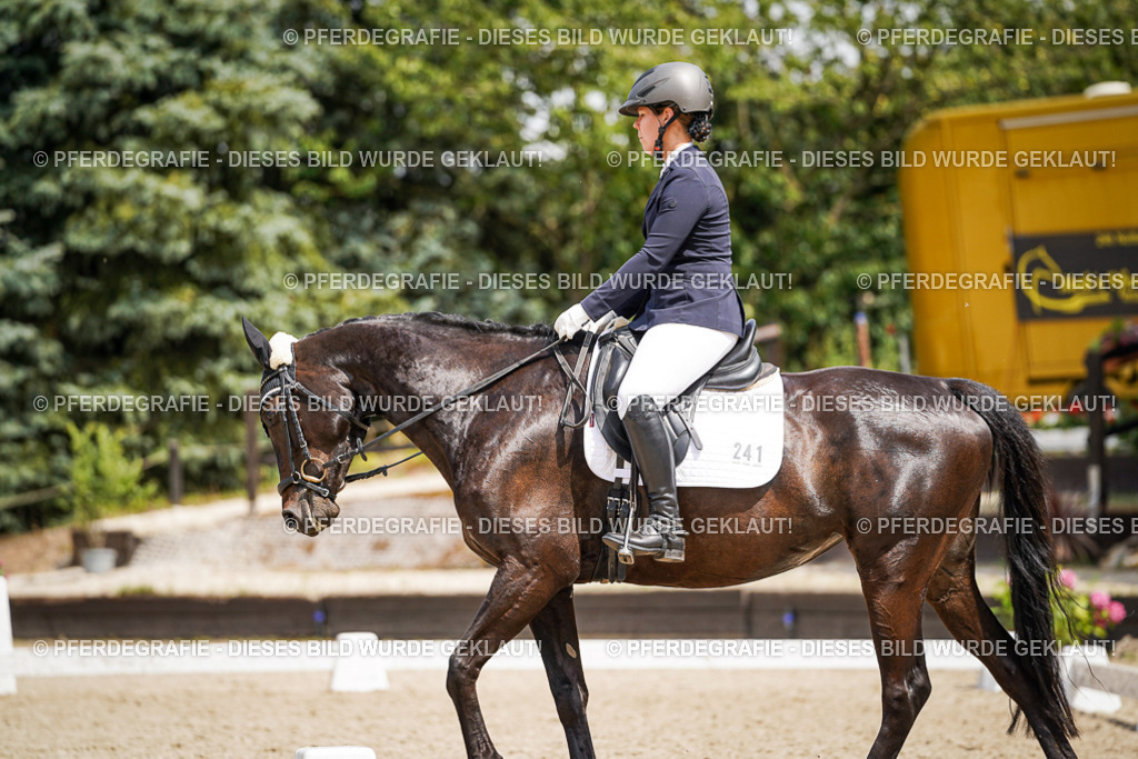 DSC02990 | Pferdegrafie