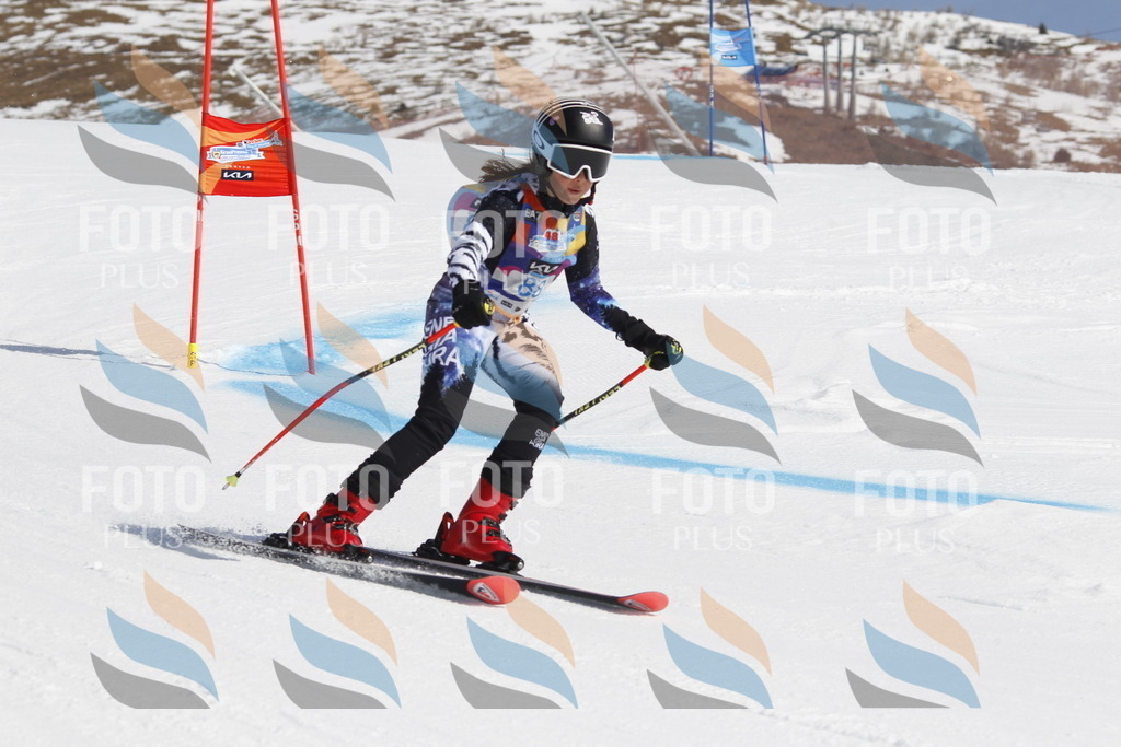 _U3G0130 | holidayphoto