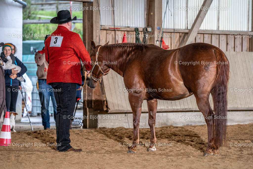 SAL00863 | BS-foto