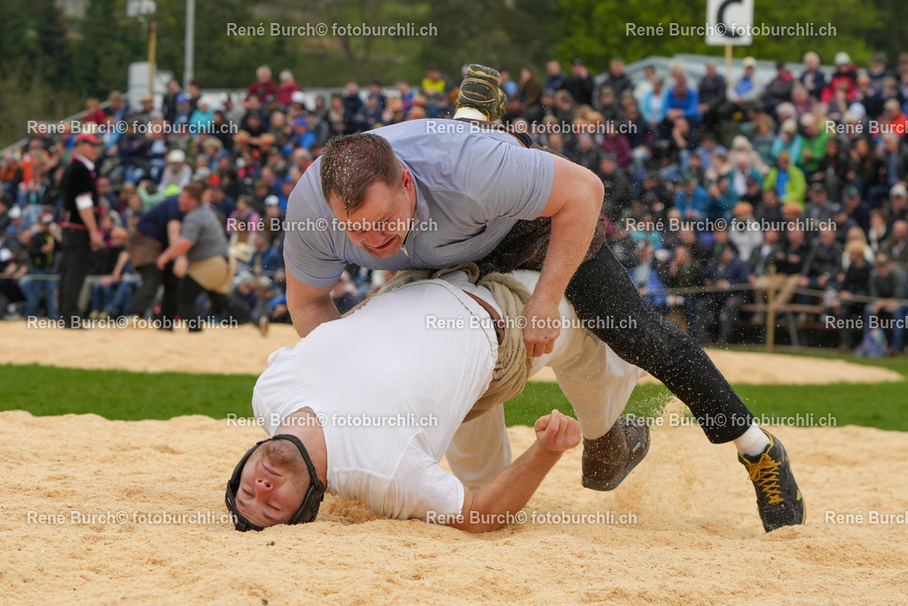 RB_03911-2 | René Burch leidenschaftlicher Fotograf aus Kerns in Obwalden.  Hier finden sie Sport, Landschaft und Natur Fotografie.
 - Realisiert mit Pictrs.com