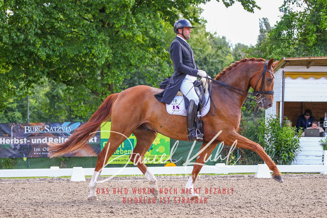 DKP41316 | Turnierfotos kaufen im Webshop von Daniel Kuhl Photography – entdecke professionelle Reitsportfotos aus Turnieren & Events. Hochwertige Turnierbilder online bestellen & sichern. Jetzt Fotos von Reitsportturnieren kaufen!