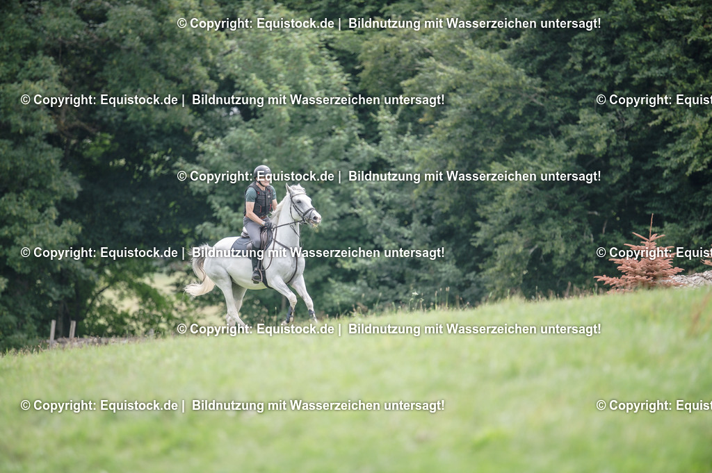 20250726_Vielseitigkeitslehrgang-Marbach_0595 | Foto: Thomas Hartig
