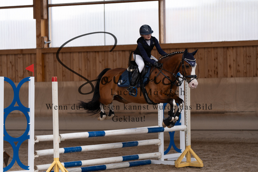 A7507416 | Pferdefotograf