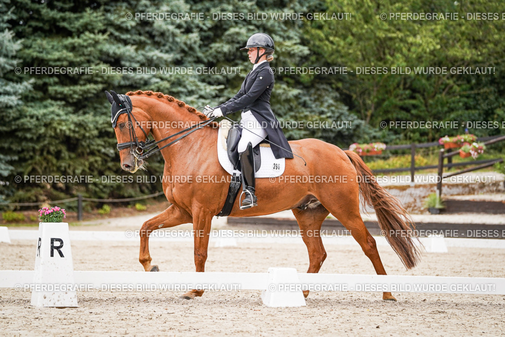 DSC05301 | Pferdegrafie