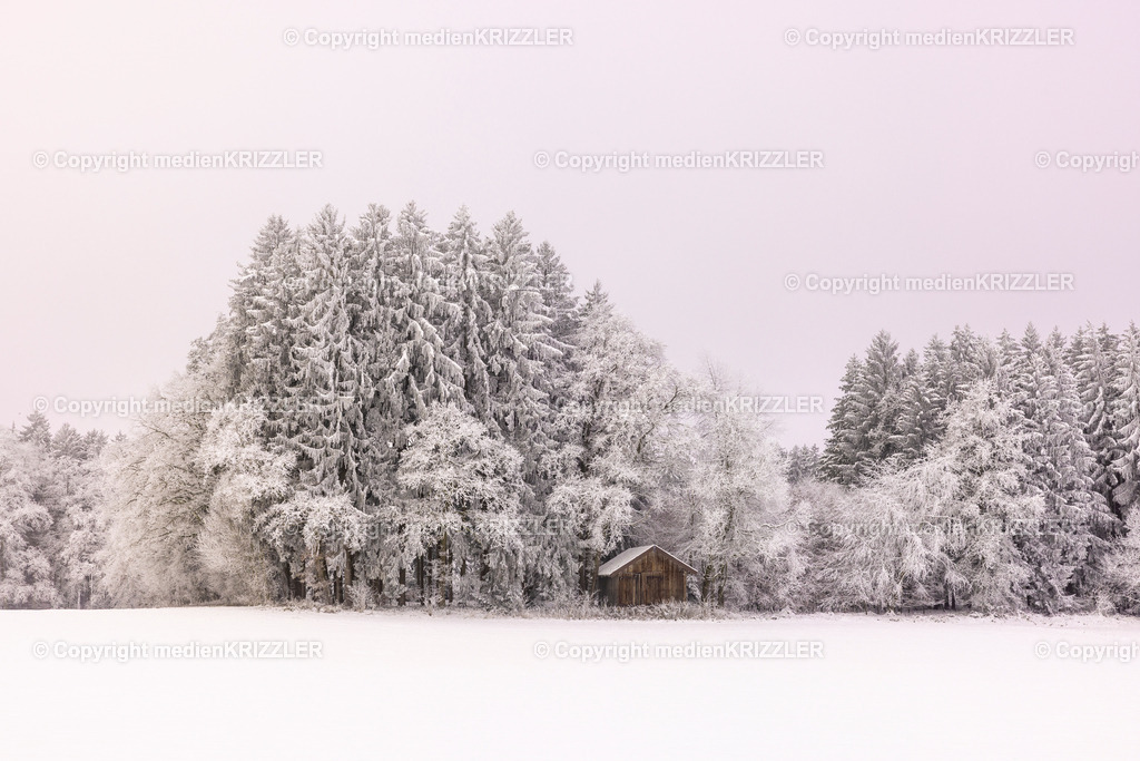 _J3A9616 | medienkrizzler - Realisiert mit Pictrs.com